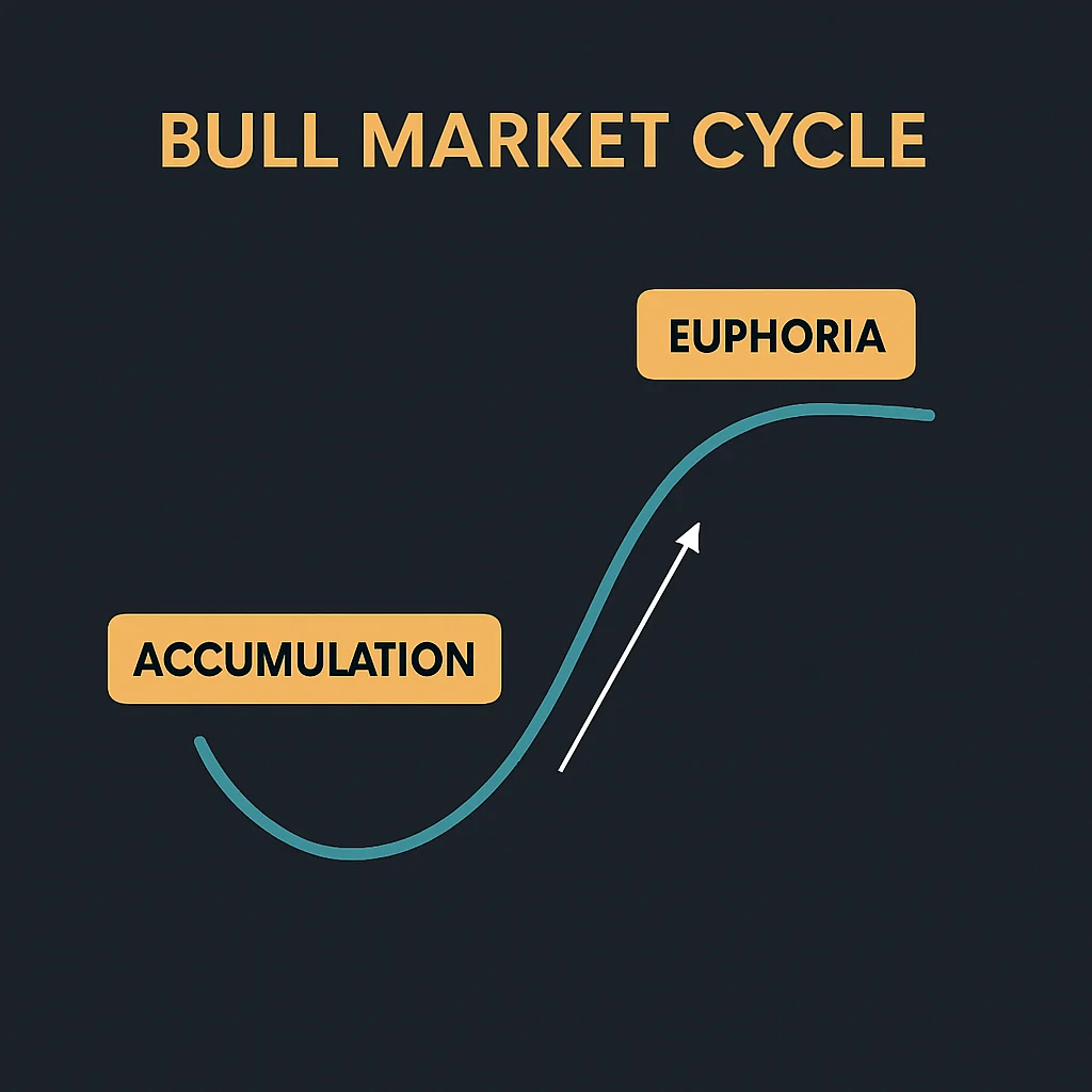Bull market cycle chart showing phases: accumulation, euphoria, and distribution