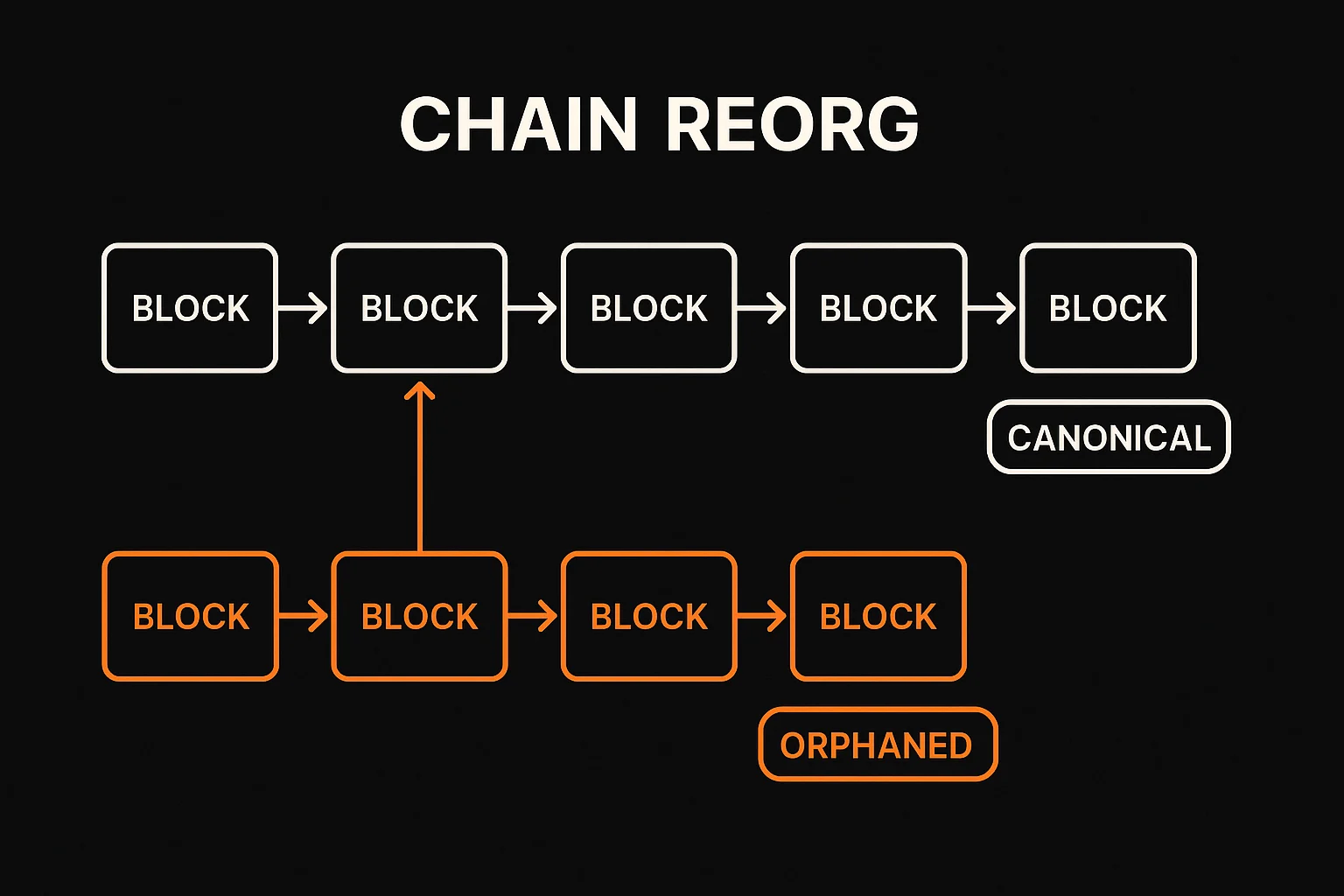 Chain reorganization diagram showing canonical blockchain branch versus orphaned competing branch