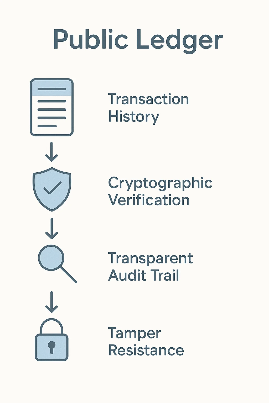 Infographic showing public ledger steps: transaction history, cryptographic verification, audit trail, tamper resistance
